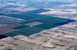 Aerial Photograph of Agricultural Fields