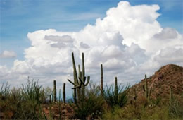 Desert Clouds