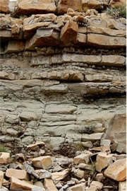Layered Sedimentary Rock