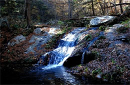 Appalachain Waterfall