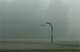 fog on a ballfield