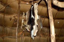 inside of a native american longhouse