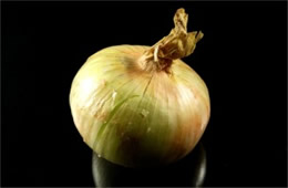 Onion - Black Background