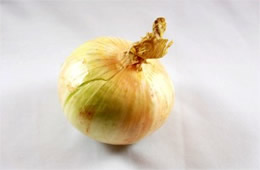 Onion - White Background