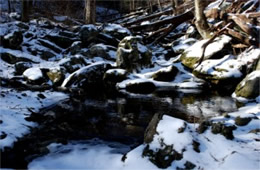 Snowy Pool in a Mountain Stream