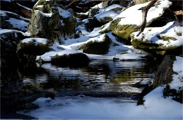 Snowy Pool in a Mountain Stream