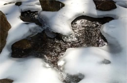 Stream Ice and Snow